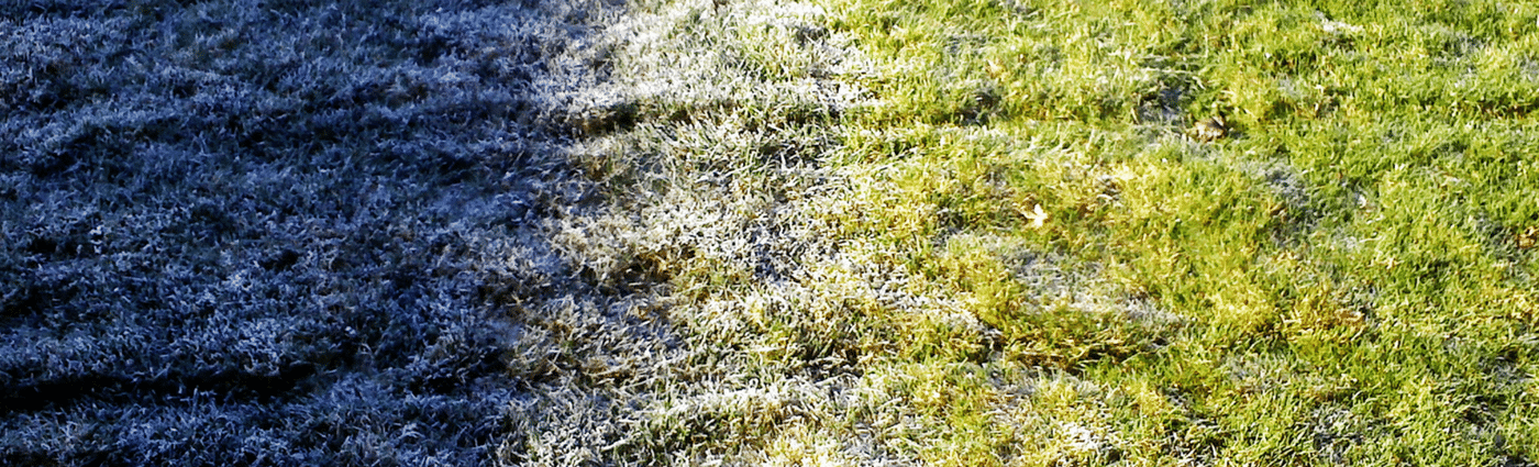 preparing lawn for winter